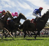 Moruya Racecourse - Tourism Adelaide