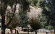 Oak Grove Walk, Balingup - thumb 2