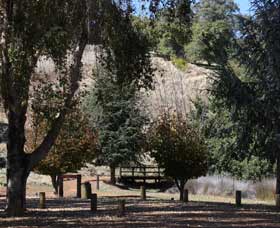 Oak Grove Walk, Balingup - Tourism Adelaide 2