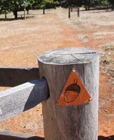 Oak Grove Walk, Balingup - Tourism Adelaide 3