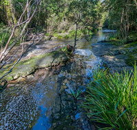 Dawson River walking track - Tourism Adelaide