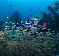 Aarhus Dive Site - Tourism Adelaide