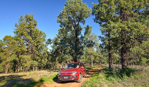 Wallingat Forest Drive - Tourism Adelaide 0