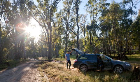 Wallingat Forest Drive - Tourism Adelaide 1