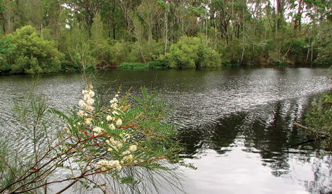 Wallingat National Park - Tourism Adelaide 0