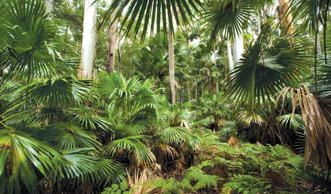 Wallingat National Park - Tourism Adelaide 3