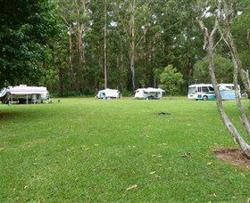 Coopernook Forest Park - Tourism Adelaide 0