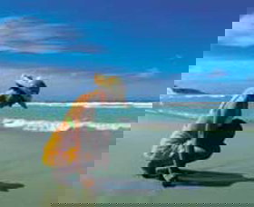 Diamond Beach - Tourism Adelaide 0