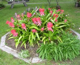 Moorlands Cottage And Gallery - Tourism Adelaide 2