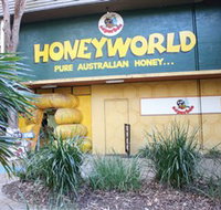 Superbee Honeyworld Gold Coast - Tourism Adelaide