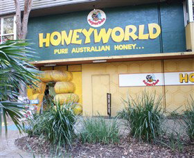 Superbee Honeyworld Gold Coast - Tourism Adelaide 0