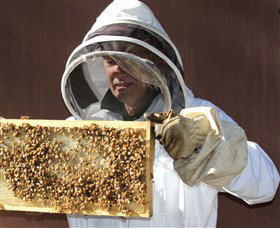 Superbee Honeyworld Gold Coast - Tourism Adelaide 1