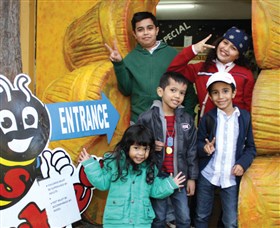 Superbee Honeyworld Gold Coast - Tourism Adelaide 3