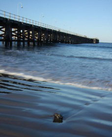 Jetty Beach - Tourism Adelaide 0