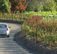 Cassegrain Wines - Tourism Adelaide