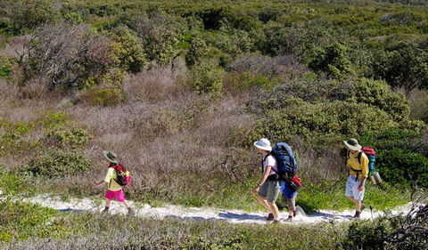 Yuraygir Coastal Walk - Tourism Adelaide 0