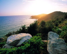 Book Broken Head NSW Attractions Tourism Adelaide Tourism Adelaide