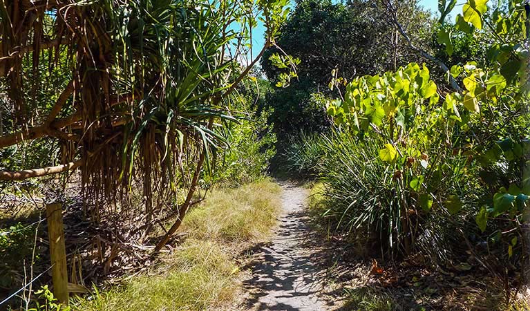 New Brighton NSW Tourism Adelaide