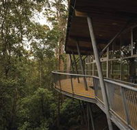 Tarkine Forest Adventures - Dismal Swamp - Tourism Adelaide