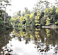 Arthur River - Tourism Adelaide