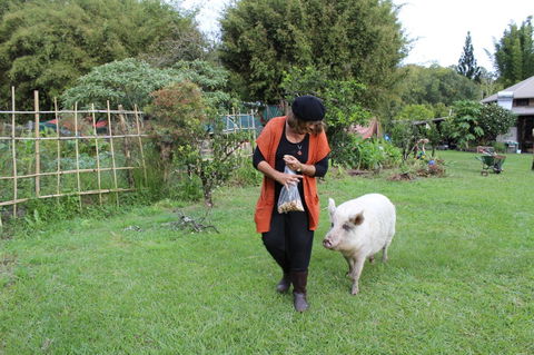 Djanbung Permaculture Gardens - Tourism Adelaide 7