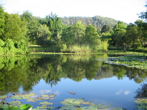 Djanbung Permaculture Gardens - Tourism Adelaide 10