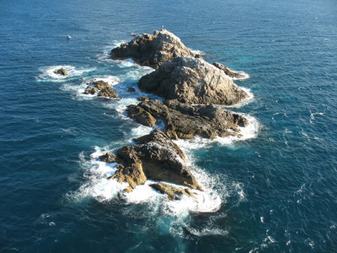 Cape Byron Marine Park - Tourism Adelaide 1