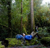 The Tarkine Drive - Tourism Adelaide