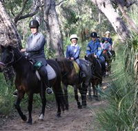 Mirravale Horse Riding School - Tourism Adelaide