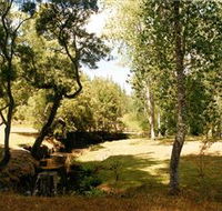 Oldina Picnic Area - Tourism Adelaide