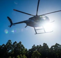 Tall Timbers Adventure Tours - Tourism Adelaide