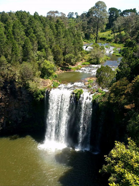 A1 Coffs Coast Tours - Tourism Adelaide 4