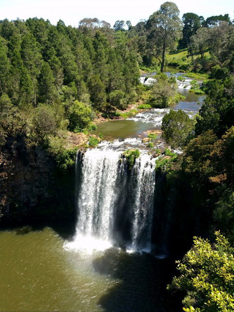 A1 Coffs Coast Tours - Tourism Adelaide 6