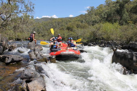 Rafting Australia - Tourism Adelaide 1