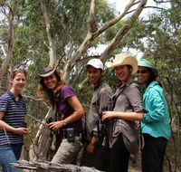 Echidna Walkabout Nature Tours - Tourism Adelaide