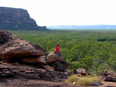 Echidna Walkabout Nature Tours - Tourism Adelaide 21