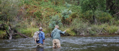 River Escapes - Tourism Adelaide 1