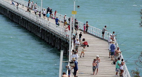 Fraser Coast Amazing Fishing Trails - Tourism Adelaide 24