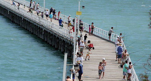 Fraser Coast Amazing Fishing Trails - Tourism Adelaide 25