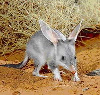 Stars Parks and Legends Drive - Tourism Adelaide