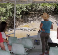 Whitsunday Crocodile Safari - Tourism Adelaide