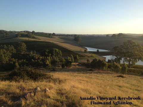 Scott & La Prova - Tourism Adelaide 1