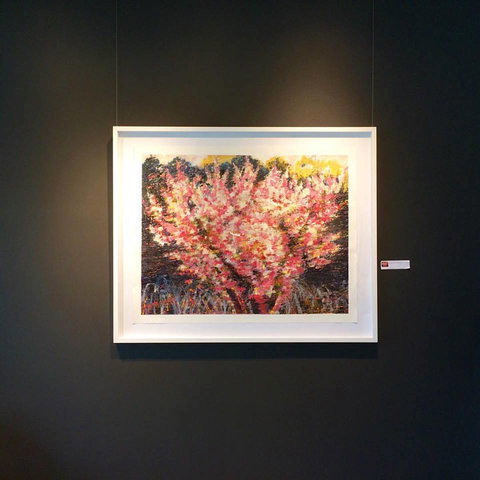 Gallery One - Tourism Adelaide 1