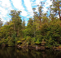 A R Reflections River Cruises - Tourism Adelaide