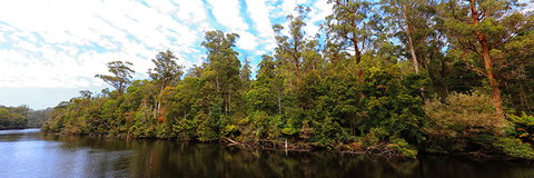 A R Reflections River Cruises - Tourism Adelaide 0