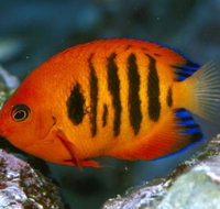 Cairns Marine - Tourism Adelaide