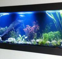 Aquariums in Cairns - Tourism Adelaide