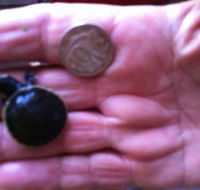 Hurleys Aquariums - Tourism Adelaide