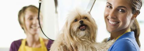 Port Stephens Pet Barn - Tourism Adelaide 1