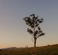 Faulls Ridge Winery - Tourism Adelaide